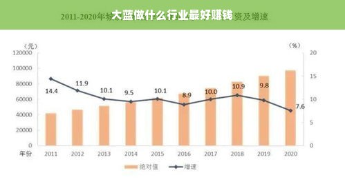 大蓝做什么行业最好赚钱