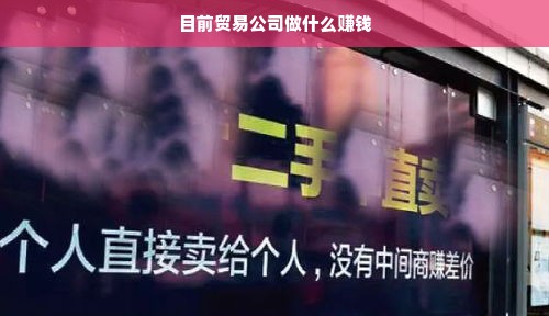 目前贸易公司做什么赚钱
