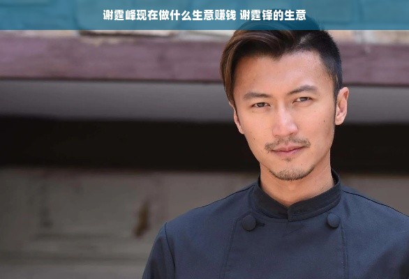 谢霆峰现在做什么生意赚钱 谢霆锋的生意