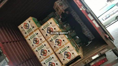 有间空房，想做什么赚钱呢？