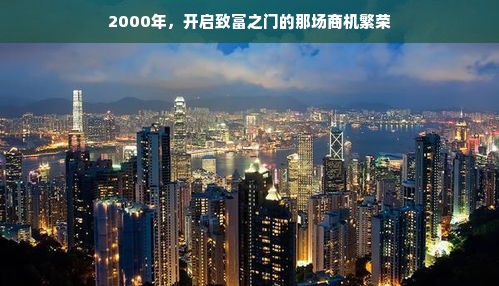 “回顾2000年四大热门生意，解码当年商业成功之道”