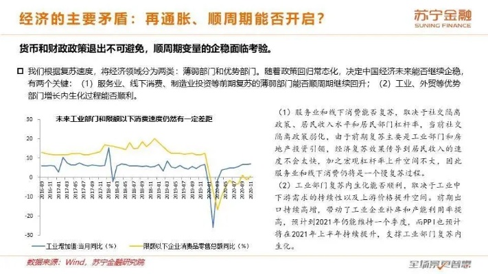 09年做什么生意最赚钱，从宏观经济到微观市场的深度分析