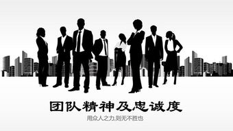 三人合伙创业选项，科技创新、教育、餐饮、健康与电商