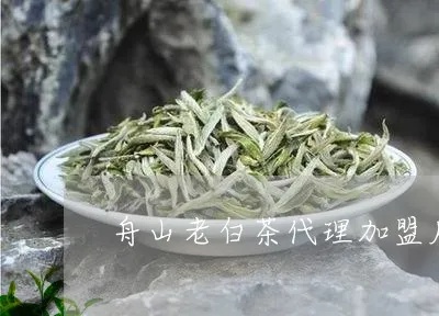 托班早教加盟，开启孩子成长新篇章