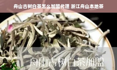 奢侈化妆品品牌，探索高端美妆世界的奥秘