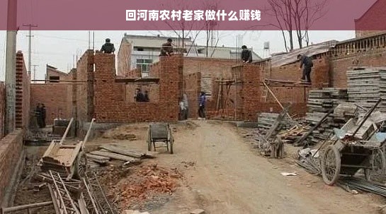 母婴店奶粉品牌大观，选购指南与经验分享