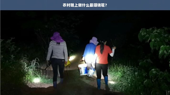 农村晚上做什么最赚钱呢？