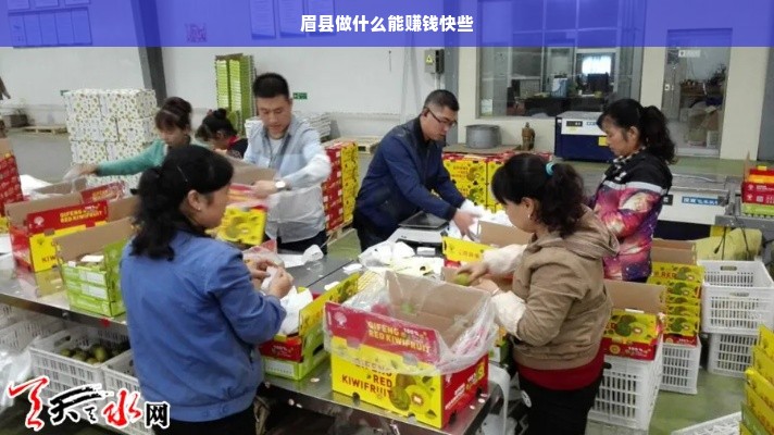 眉县做什么能赚钱快些
