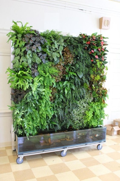 西藏医药品牌PPT详解