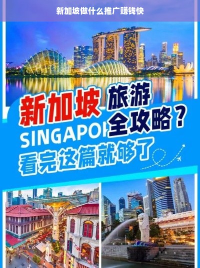 新加坡多元化产业推广策略，赚钱快，更注重客户体验