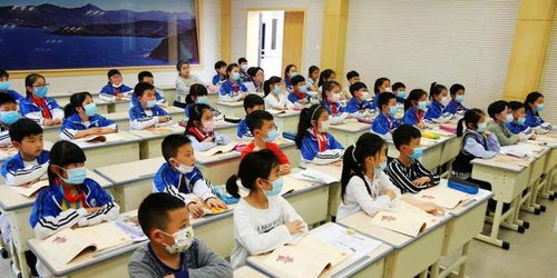 二手机床选购指南，高性价比品牌推荐与避坑技巧