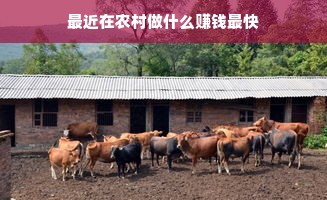 最近在农村做什么赚钱最快