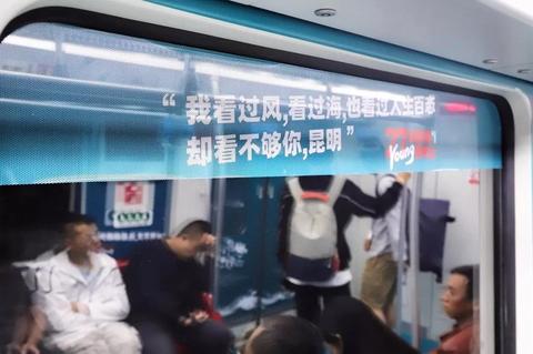 揭秘京东白条，额度操作与黑户真相解析