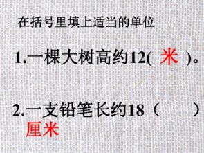 储恩厨具，揭秘其品牌定位与市场表现，一线品质不容小觑！