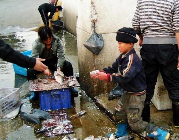京东白条额度套现与还款指南