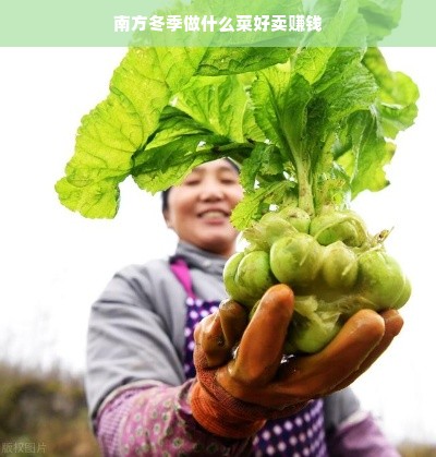南方冬日特色美食，暖心暖胃商机无限