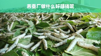 信创打印机品牌大盘点，国产之光，助力办公新风尚