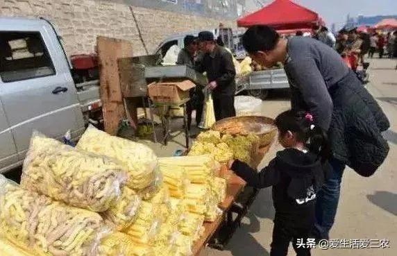 农村做什么生意可以赚钱多