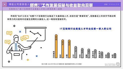 京东白条额度运用攻略，如何巧妙提升额度并享受免息优惠
