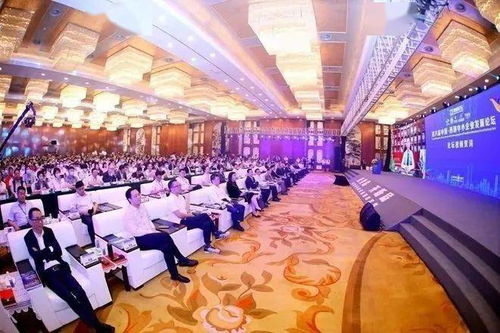京东白条额度运用攻略，如何巧妙提升额度并享受免息优惠