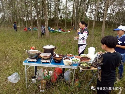 武汉羊小咩便荔卡套出来提现，真的可行吗？