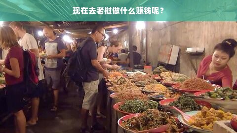 现在去老挝做什么赚钱呢？