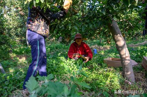 玉林云南早教加盟店排名探秘，热门品牌与成功案例解析