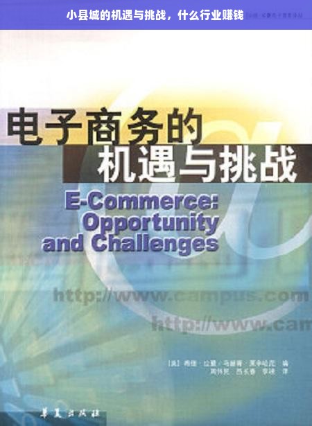小县城的机遇与挑战，什么行业赚钱