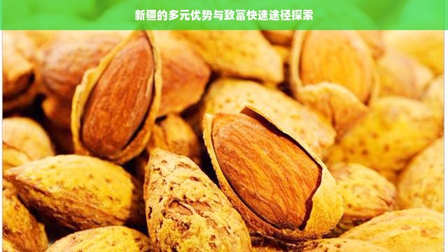 探寻新疆致富之门径，多元产业助力快速财富增长