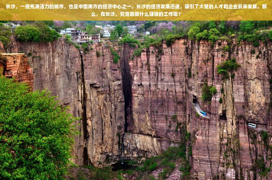 长沙互联网产业蓬勃发展，电商、IT、文化、医疗等多领域就业前景广阔