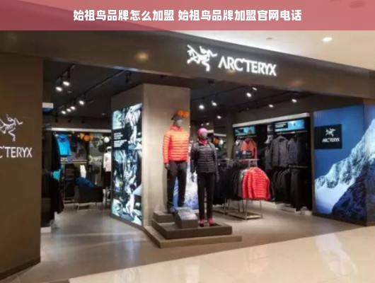 华母婴品牌，品质母婴服务的领跑者
