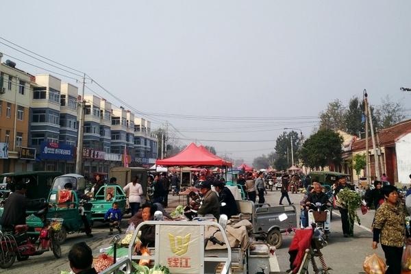 涡阳县城做什么生意赚钱
