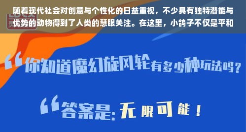 京东白条取现流程及所需时间详解