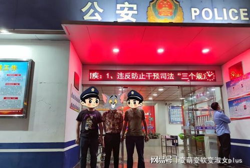 分期乐套出来商城口子详解，操作、案例与注意事项