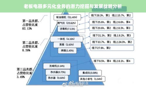 老板电器的发展策略与其盈利空间探究
