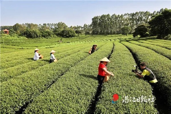 性价比之王—盘点那些让你物超所值的正品面膜品牌