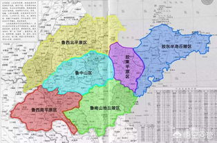 京东白条额度套现与退费指南