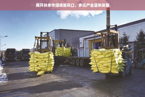 揭开扶余市赚钱新风口，多元产业蓬勃发展