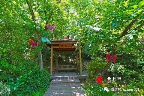 羊小咩便荔卡额度提现攻略，激活失败怎么办？看这里就对了！