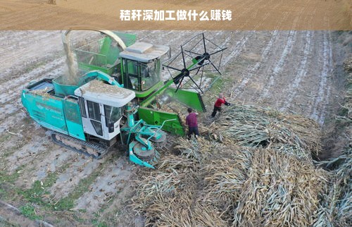 漯河品牌化妆品，品质之选，美丽之源
