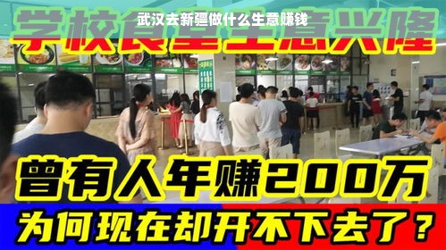武汉去新疆做什么生意赚钱