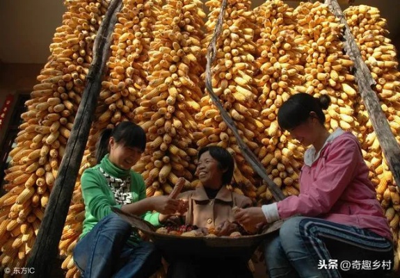 芜湖品牌母婴，品质之选，关爱成长每一步