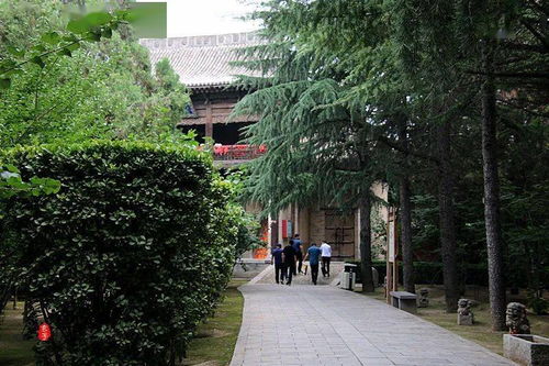 盘点2023年最受欢迎的几款品牌小冰箱，哪款才是你的最佳选择？