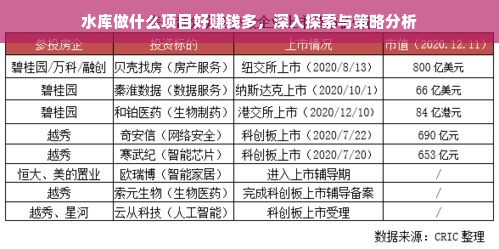 水库做什么项目好赚钱多，深入探索与策略分析