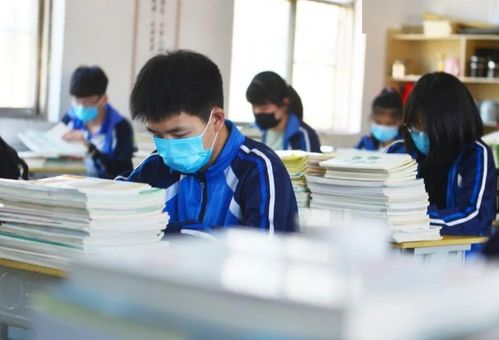 厂家品牌家电售后维修全解析，专业、高效、贴心的服务体验