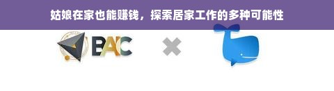 姑娘在家也能赚钱，探索居家工作的多种可能性