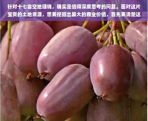 淘宝先用后付额度提现商家，已退至淘宝先用后付额度—一场额度与信任的较量