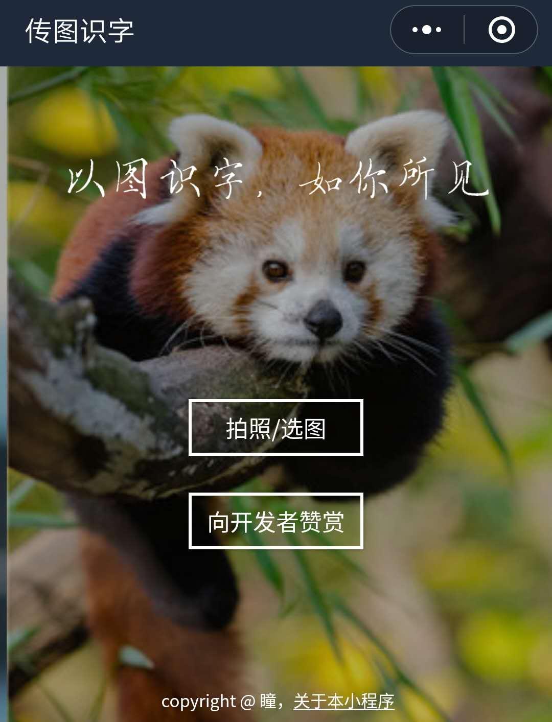 未来小程序能做什么赚钱