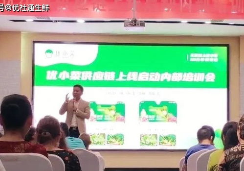 民族医药品牌的崛起之路，如何打造强大的民族医药品牌