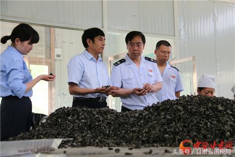 民族医药品牌的崛起之路，如何打造强大的民族医药品牌